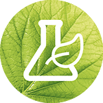 Garnier Icon 2