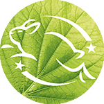 Garnier Icon 5