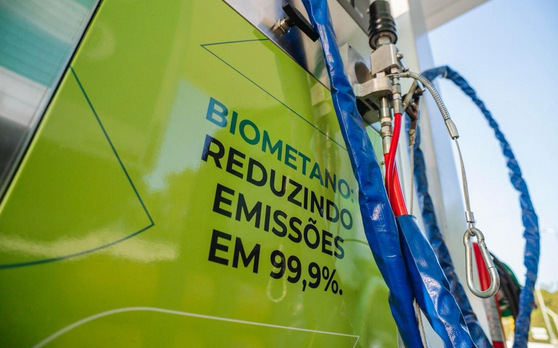 Por um futuro da beleza mais responsável