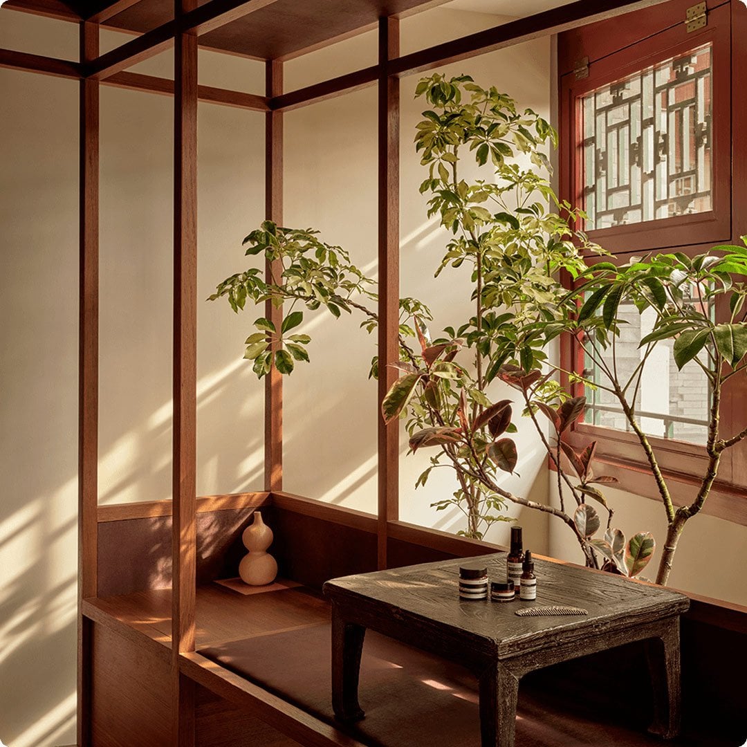 2026 luxe division brand aesop products on a table with a plant visual