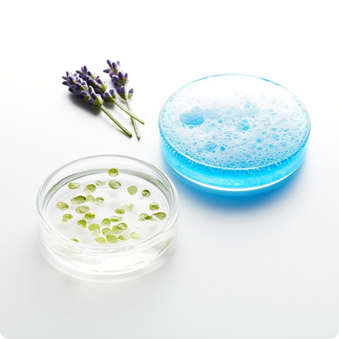 2026 Green Sciences Images with Scientific objects ingredients